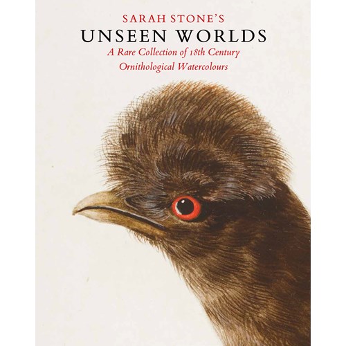 Sarah Stone's Unseen Worlds